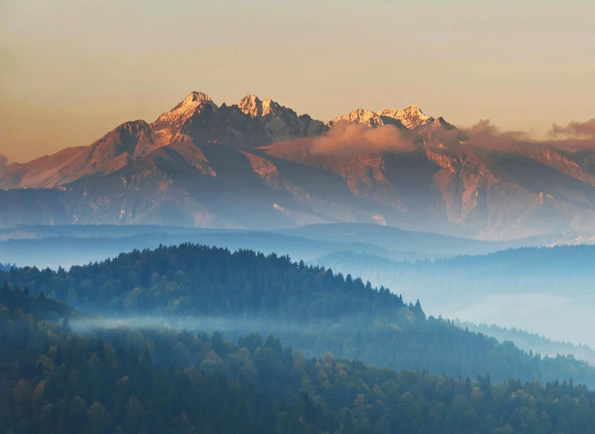 Radzimy jak opublikować artykuły sponsorowane taniej