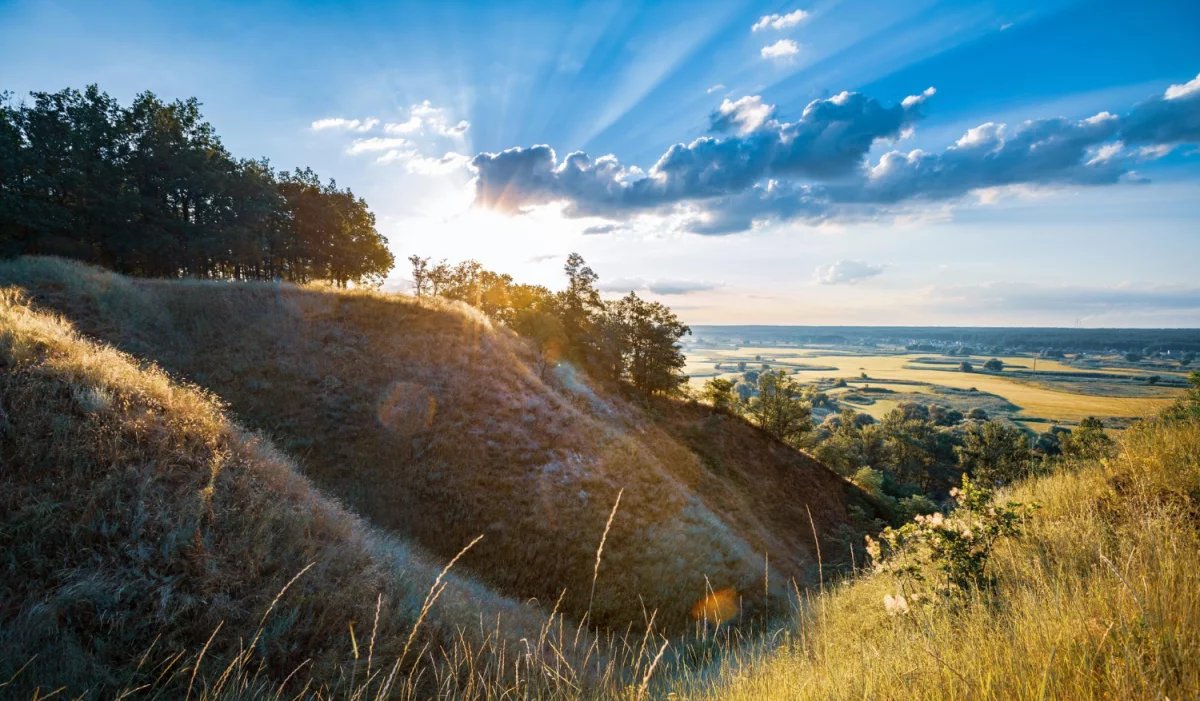 To Nie Twoja Wina, że Nie Wiesz Jak opublikować artykuły (chyba, że Popełniasz Te 8 Największych Błędów)