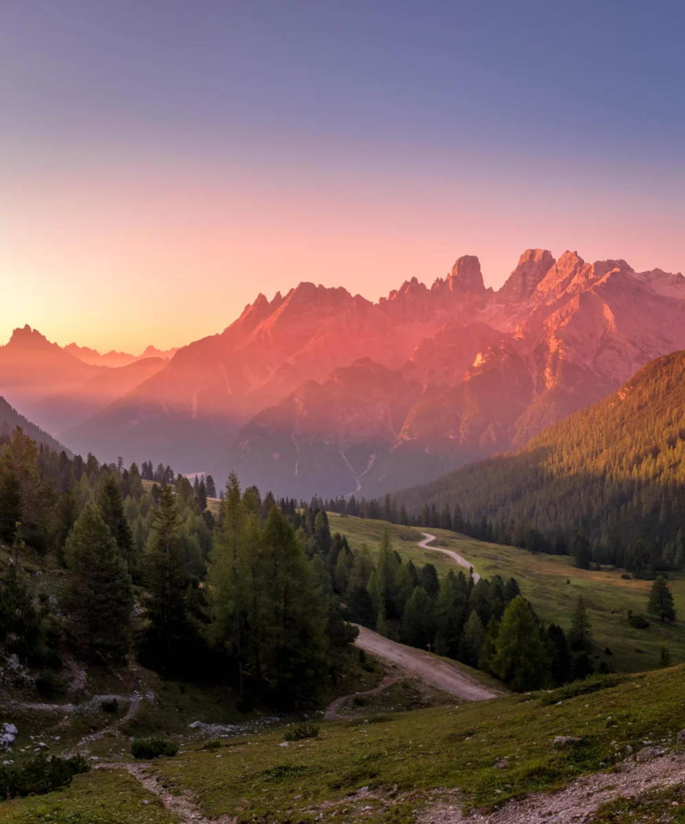 Ale jak kupić ziarnistą kawę?