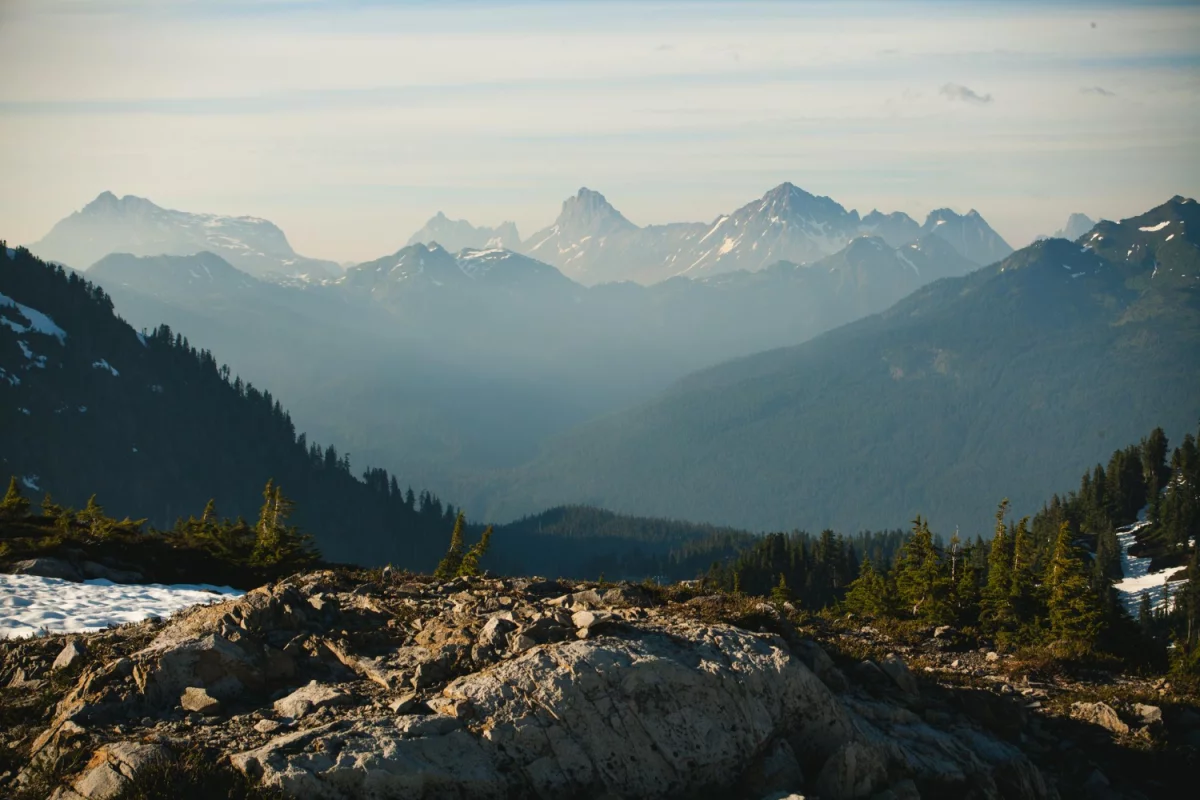 znaleźć kardiologa? Dokładnie!