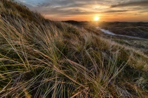 Czy można kupić auto w niedzielę nie handlową?