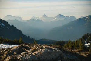 Rok 2020 - dobry czas by naprawić ekspres do kawy